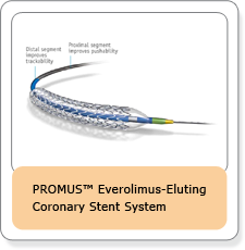 PROMUS™ Everolimus-Eluting Coronary Stent System